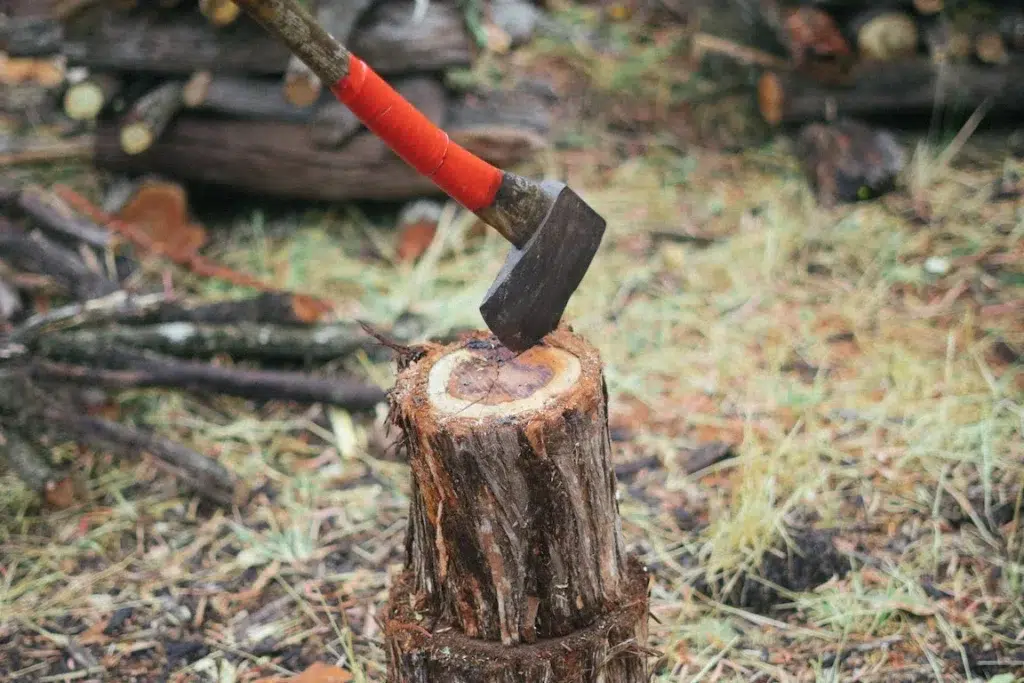 tree stump without a grinder